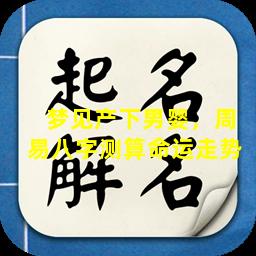  梦见产下男婴，周易八字测算命运走势 
